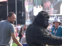 IMG 5373